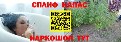 дмт Краснознаменск