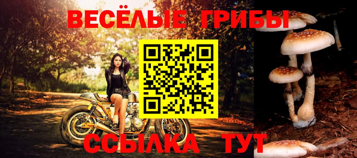 Клинцы  Cocaine  Вход с VPN  ЭКСТАЗИ  Мефедрон кристаллы  LSD-25  Гашиш  ГАШИШ  Вейп ТГК  Бошки Шишки 