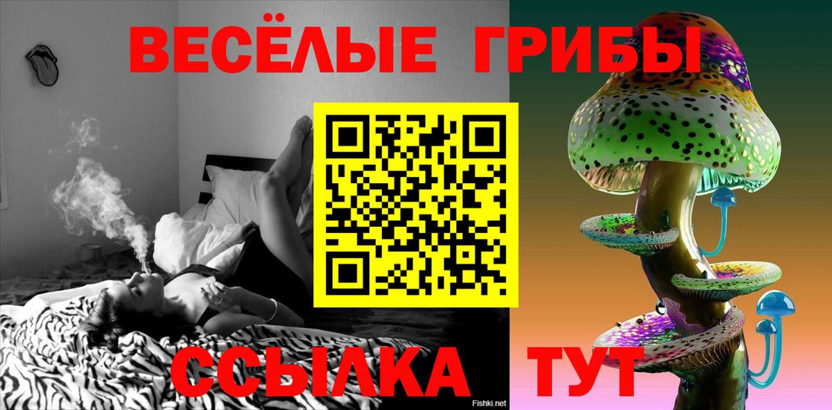 Галлюциногенные грибы мицелий Клинцы